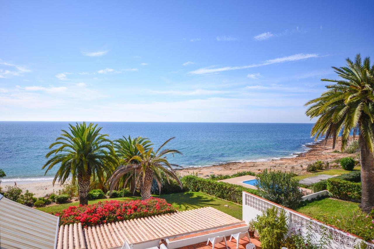 The Fantastic Beach House Of Luz מראה חיצוני תמונה